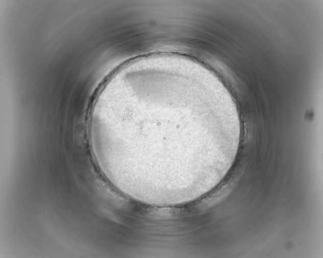 X0000093750828200710231230