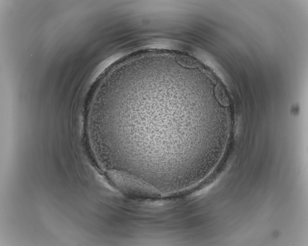 X0000093750829200710231230