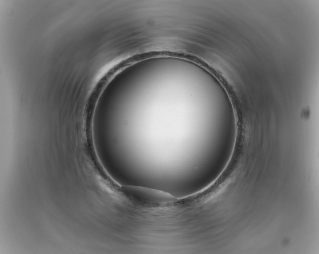 X0000093750830200710231230