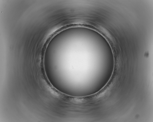 X0000093750831200710231230