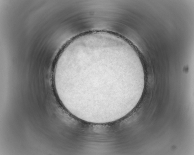 X0000093750832200710231230