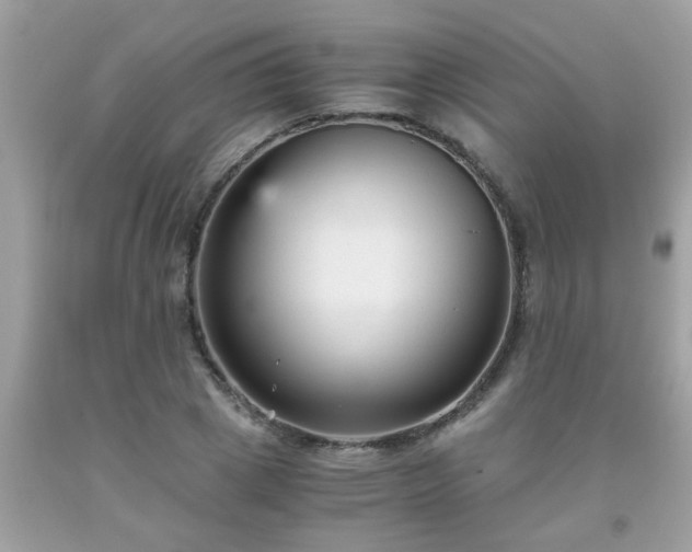 X0000093750833200710231230