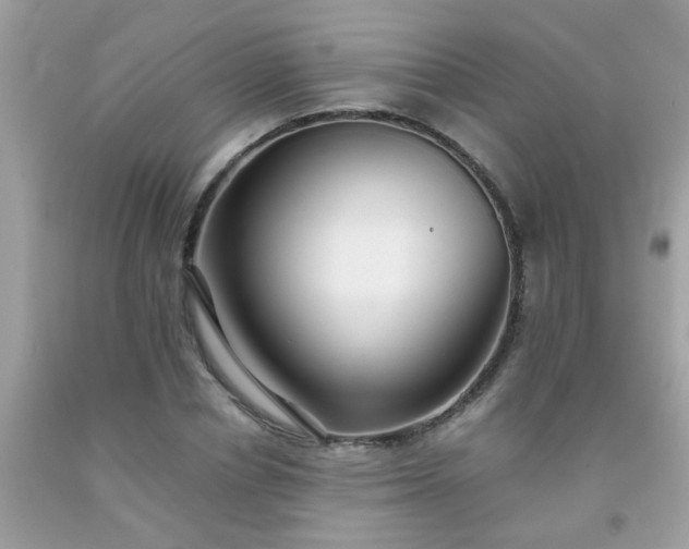 X0000093750834200710231230