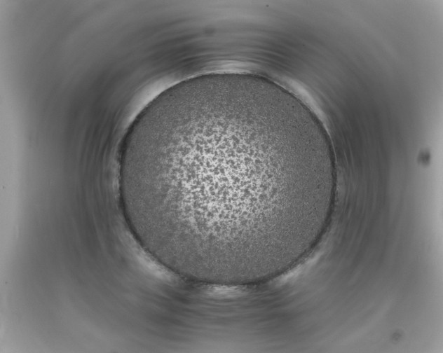 X0000093750835200710231230