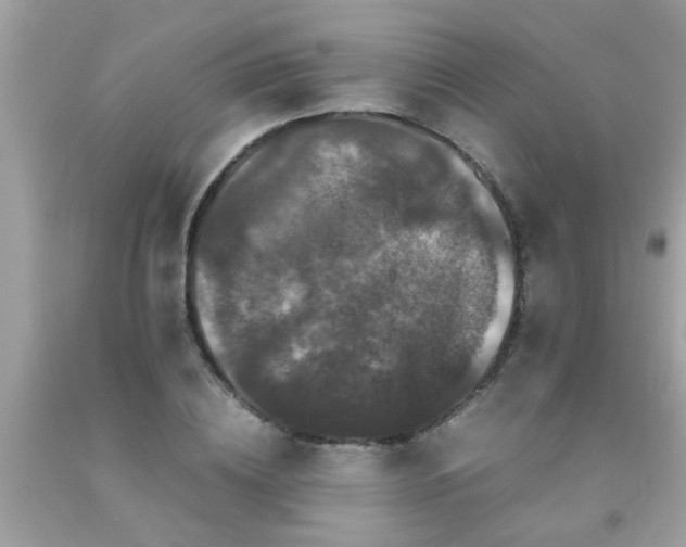 X0000093750836200710231230