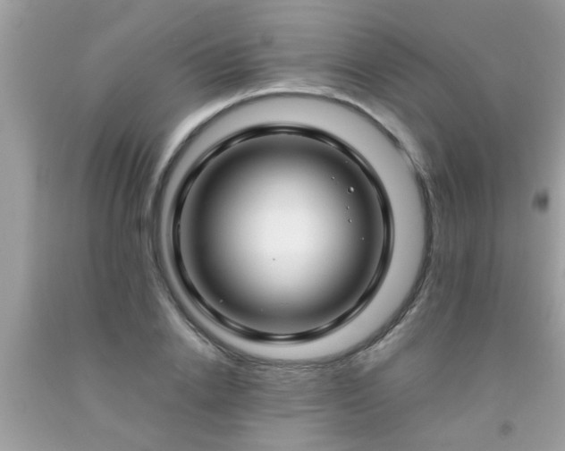X0000093750838200710231230