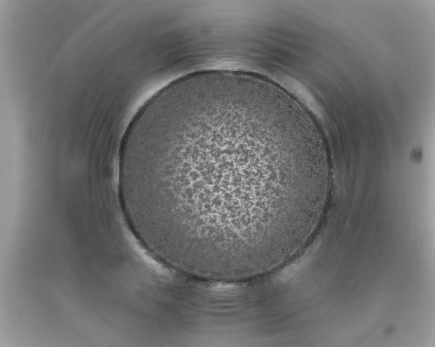 X0000093750839200710231230
