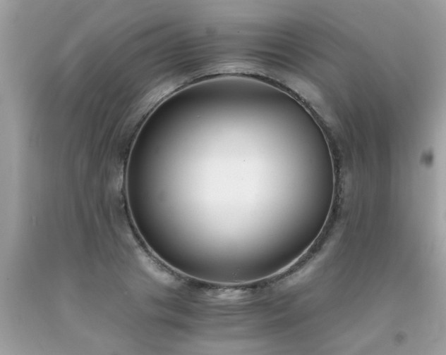 X0000093750841200710231230