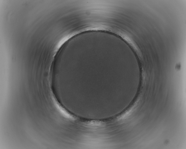 X0000093750842200710231230