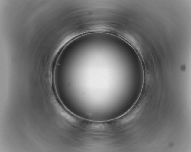X0000093750843200710231230