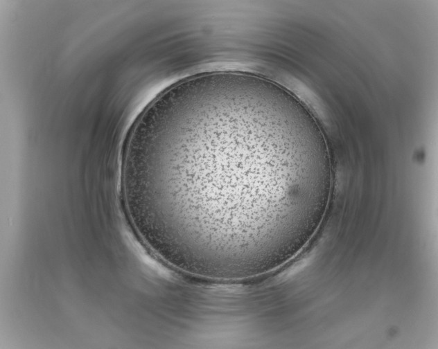 X0000093750844200710231230