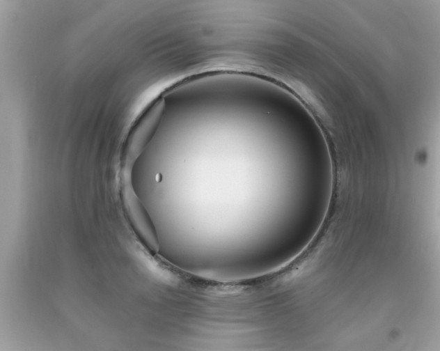 X0000093750846200710231230