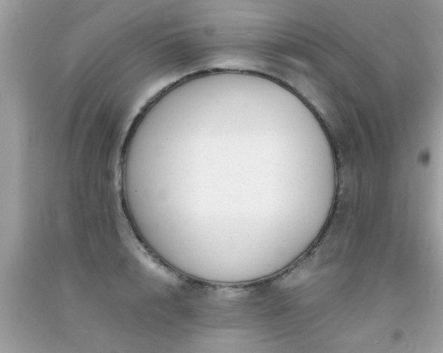X0000093750848200710231230