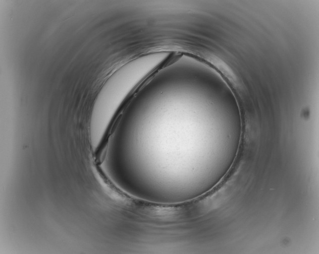 X0000093750849200710231230