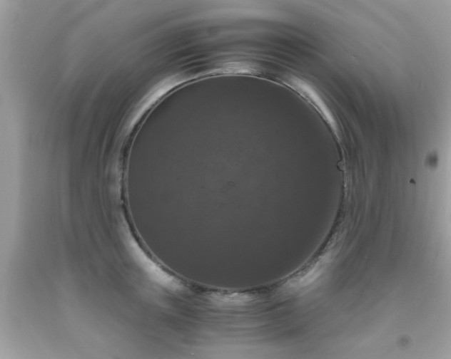 X0000093750851200710231231