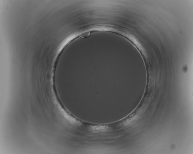 X0000093750853200710231231