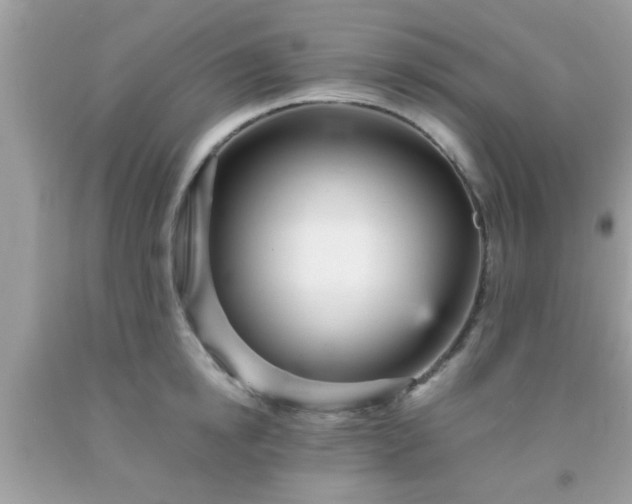 X0000093750854200710231231