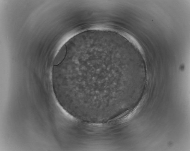 X0000093750855200710231231