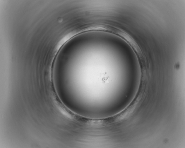 X0000093750858200710231231