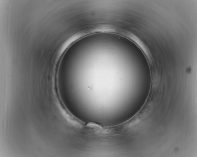 X0000093750861200710231231
