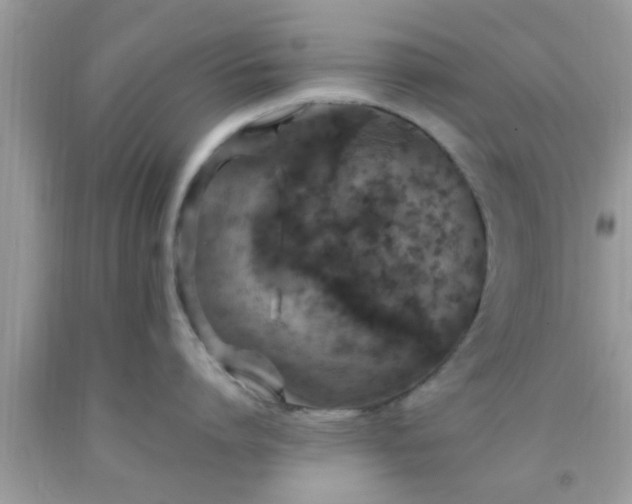 X0000093750864200710231231