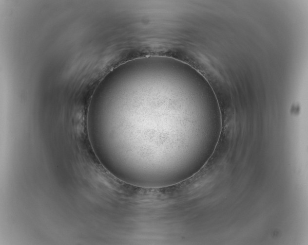 X0000093750866200710231230