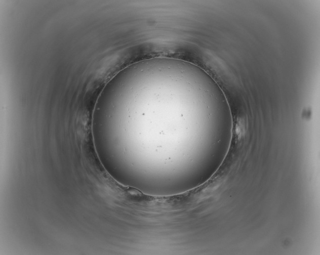 X0000093750867200710231230