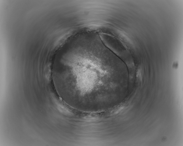 X0000093750868200710231230
