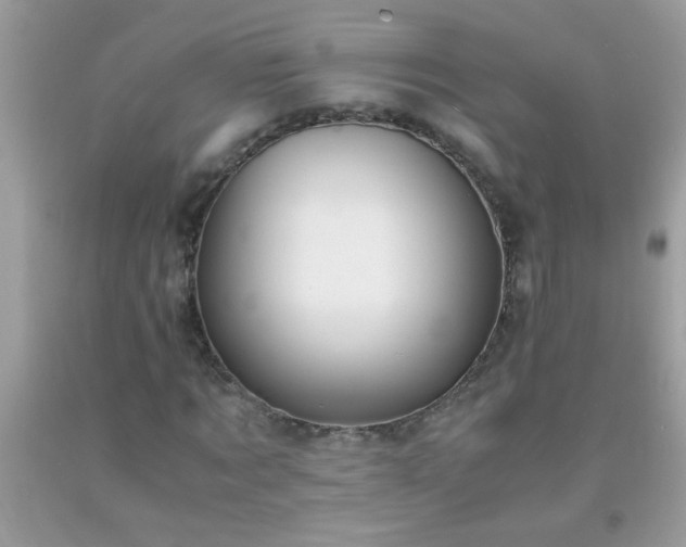 X0000093750869200710231230