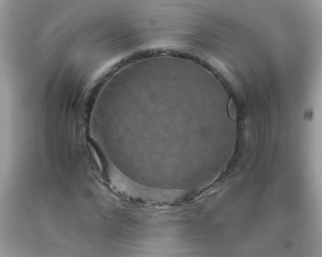 X0000093750872200710231230