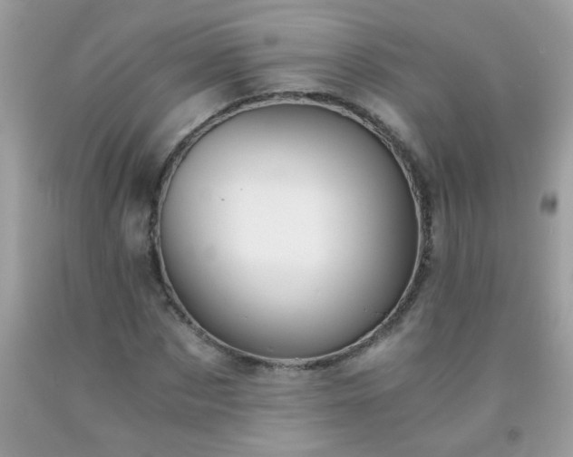 X0000093750873200710231230
