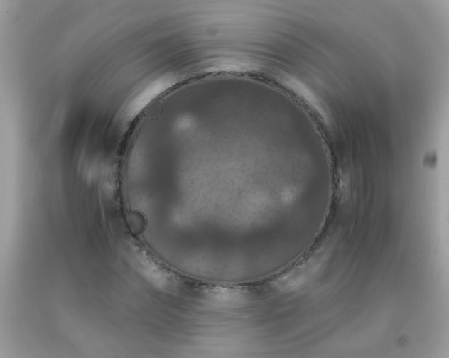 X0000093750874200710231230
