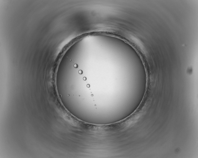 X0000093750875200710231230