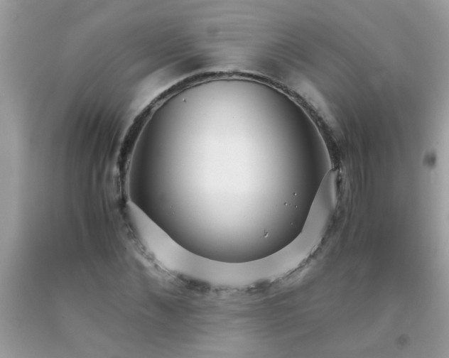 X0000093750876200710231230