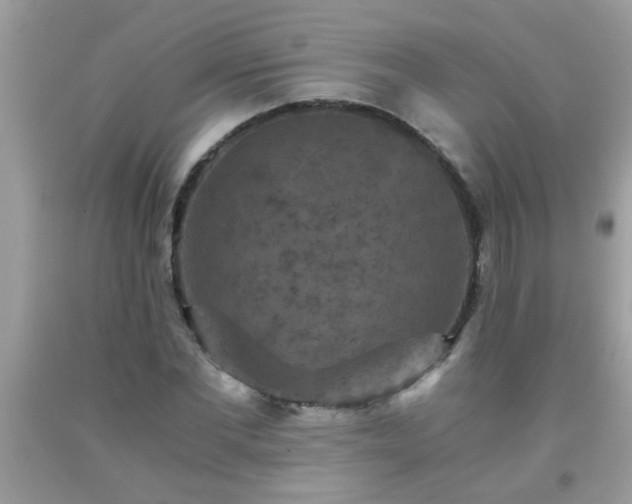 X0000093750877200710231230