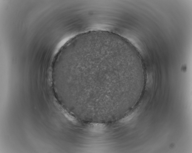 X0000093750878200710231230