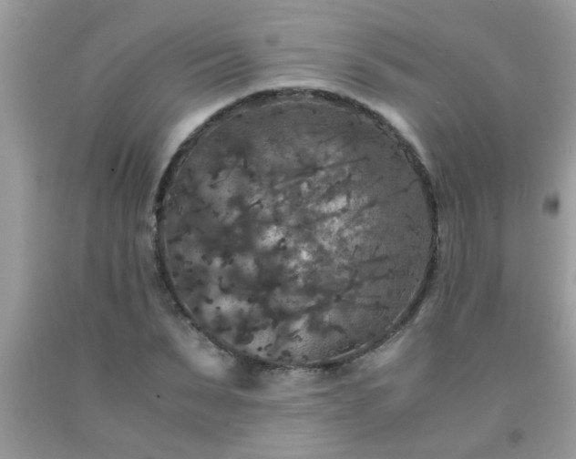 X0000093750879200710231230