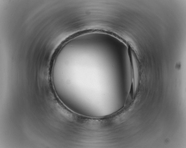 X0000093750880200710231230