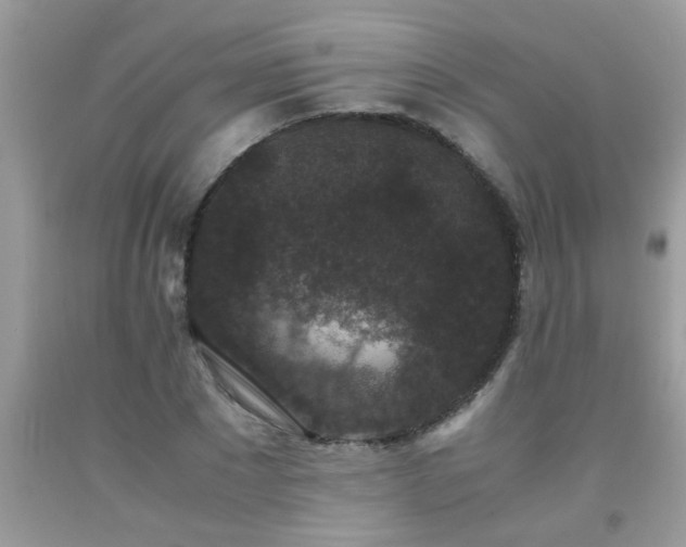 X0000093750881200710231230