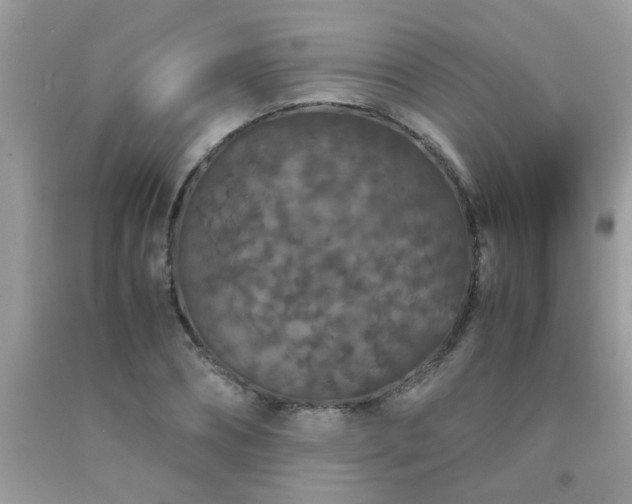 X0000093750882200710231230