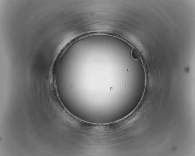 X0000093750883200710231230