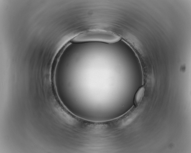 X0000093750884200710231230