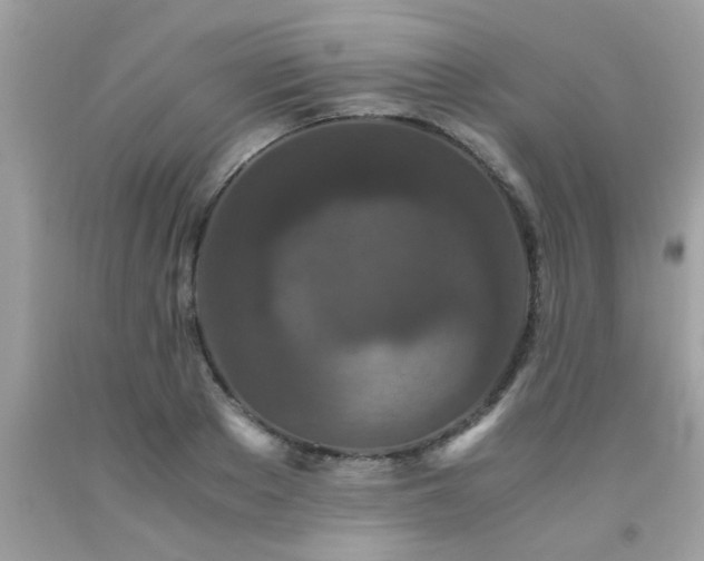 X0000093750889200710231230