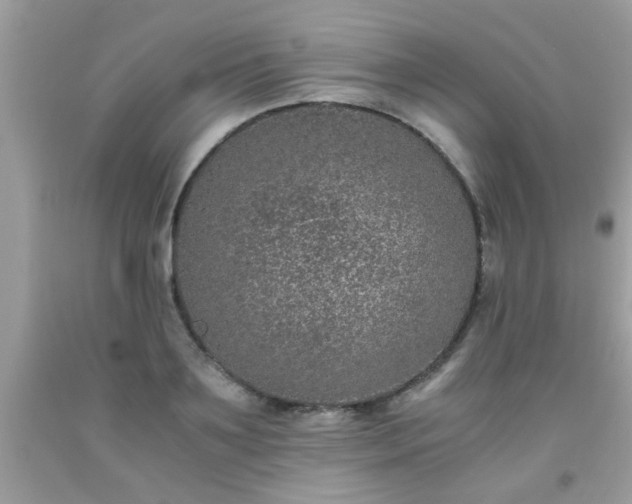 X0000093750891200710231230