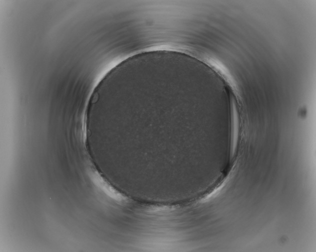 X0000093750892200710231230