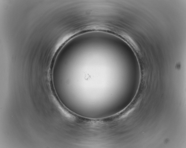 X0000093750893200710231230
