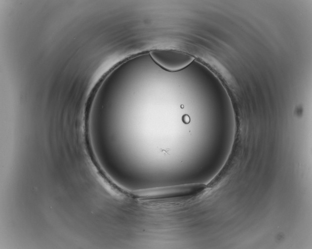 X0000093750894200710231230