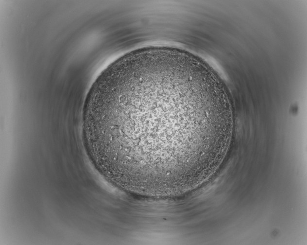 X0000093750895200710231230