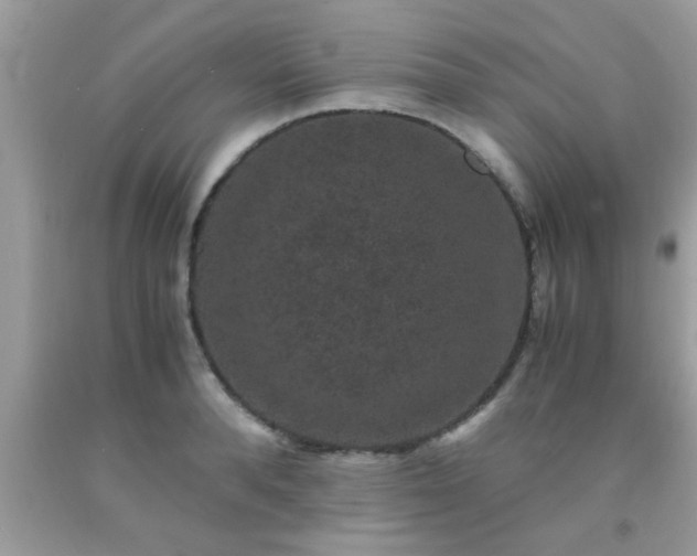 X0000093750896200710231230