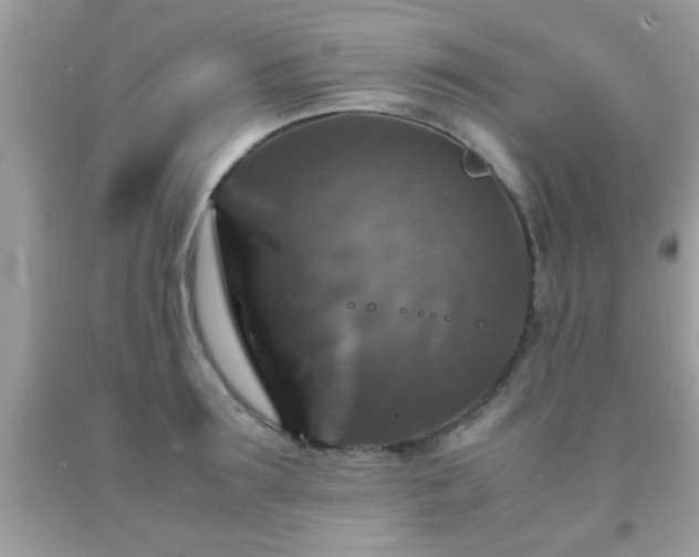X0000093750899200710231230